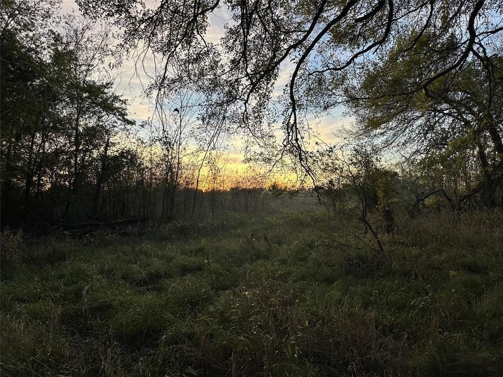 66.87 acres in Lamar County - photo 32