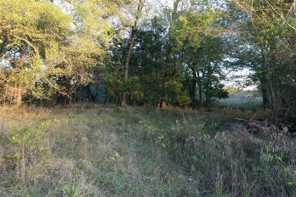 66.87 acres in Lamar County - photo 10