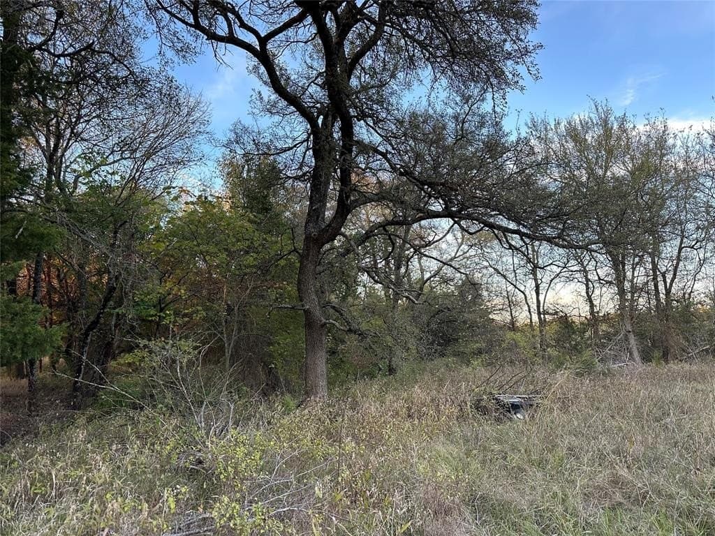66.87 acres in Lamar County - photo 30