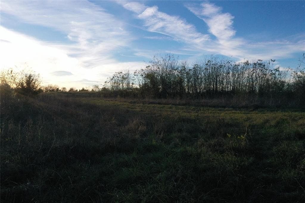 66.87 acres in Lamar County - photo 11