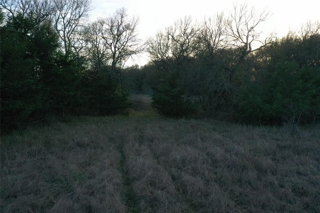 66.87 acres in Lamar County - photo 18