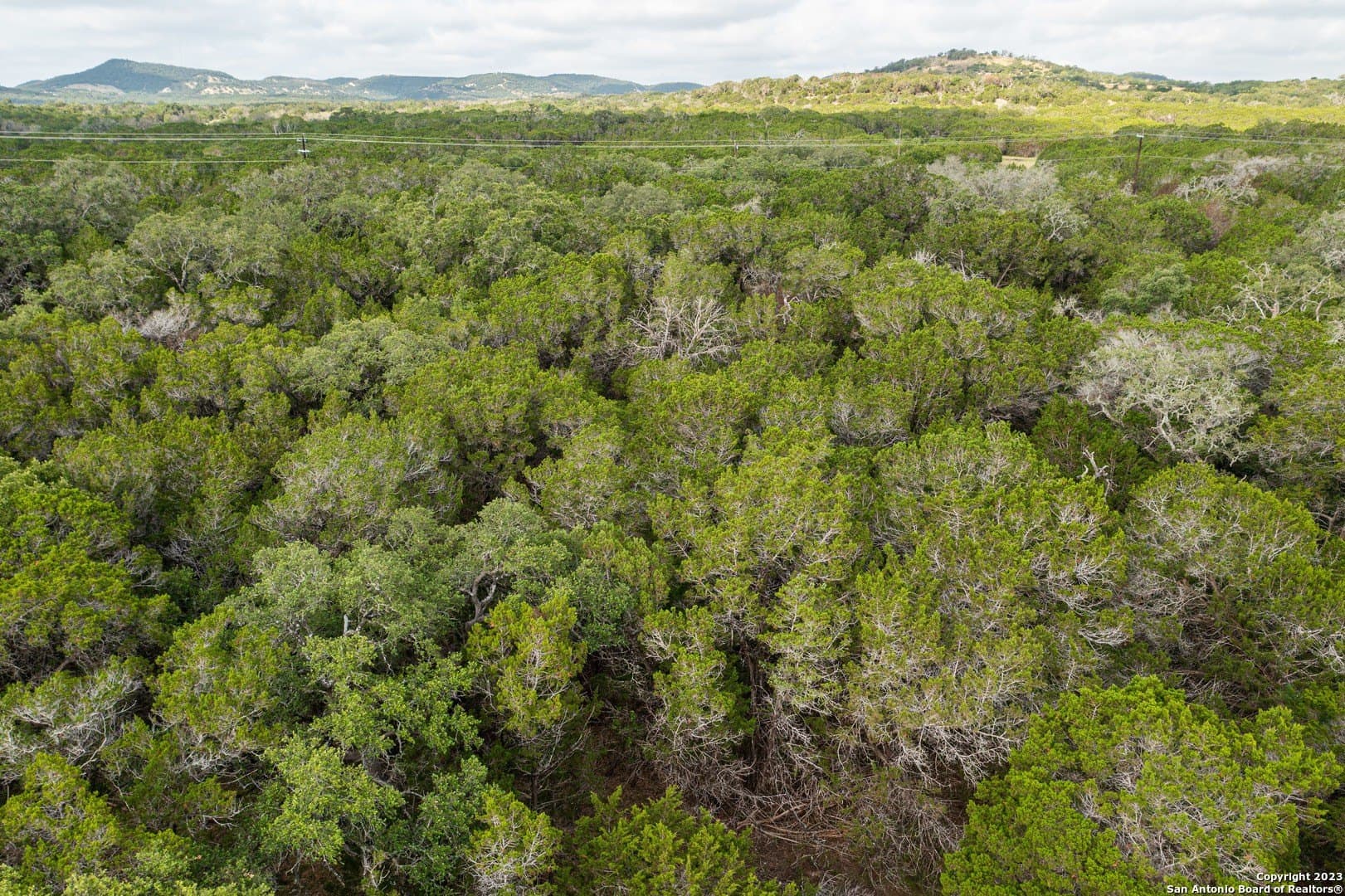 25 acres in Bandera County - photo 26