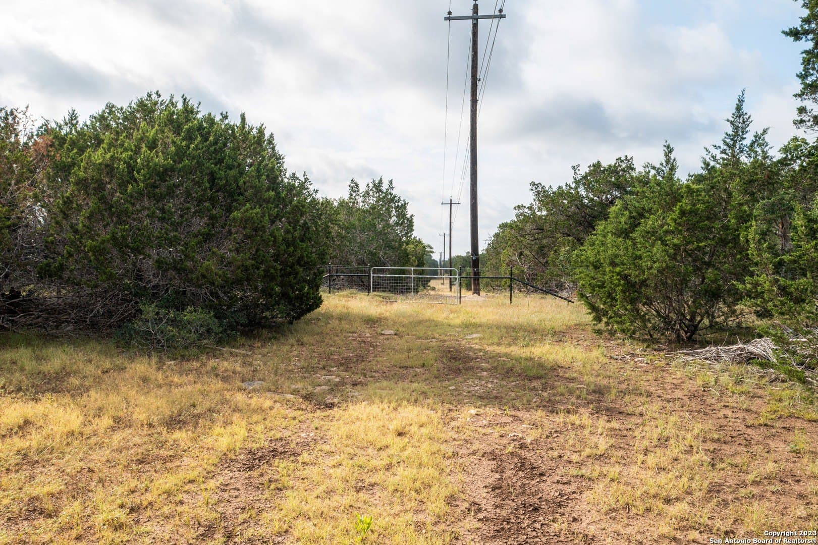 25 acres in Bandera County - photo 17