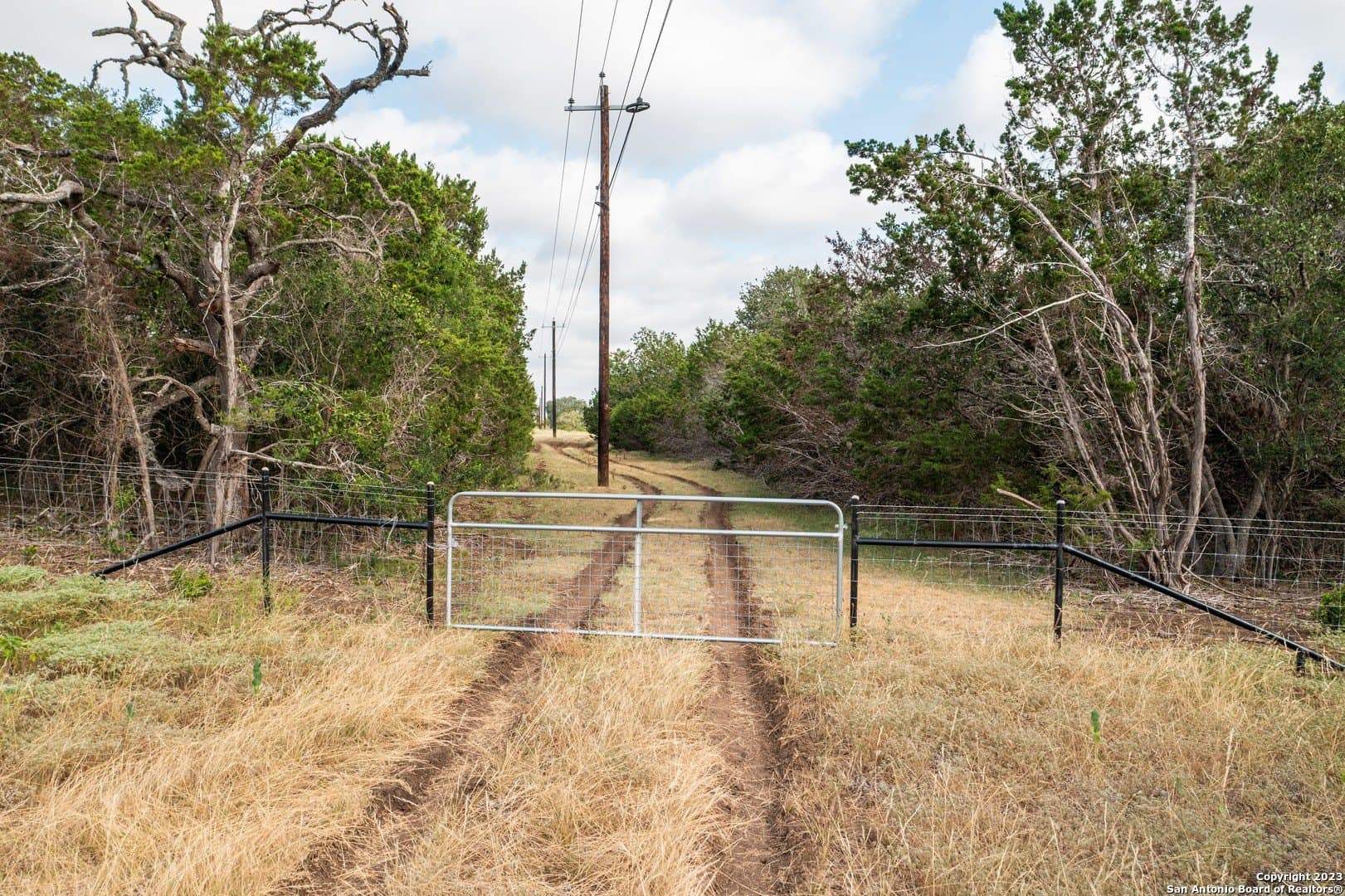 25 acres in Bandera County - photo 46