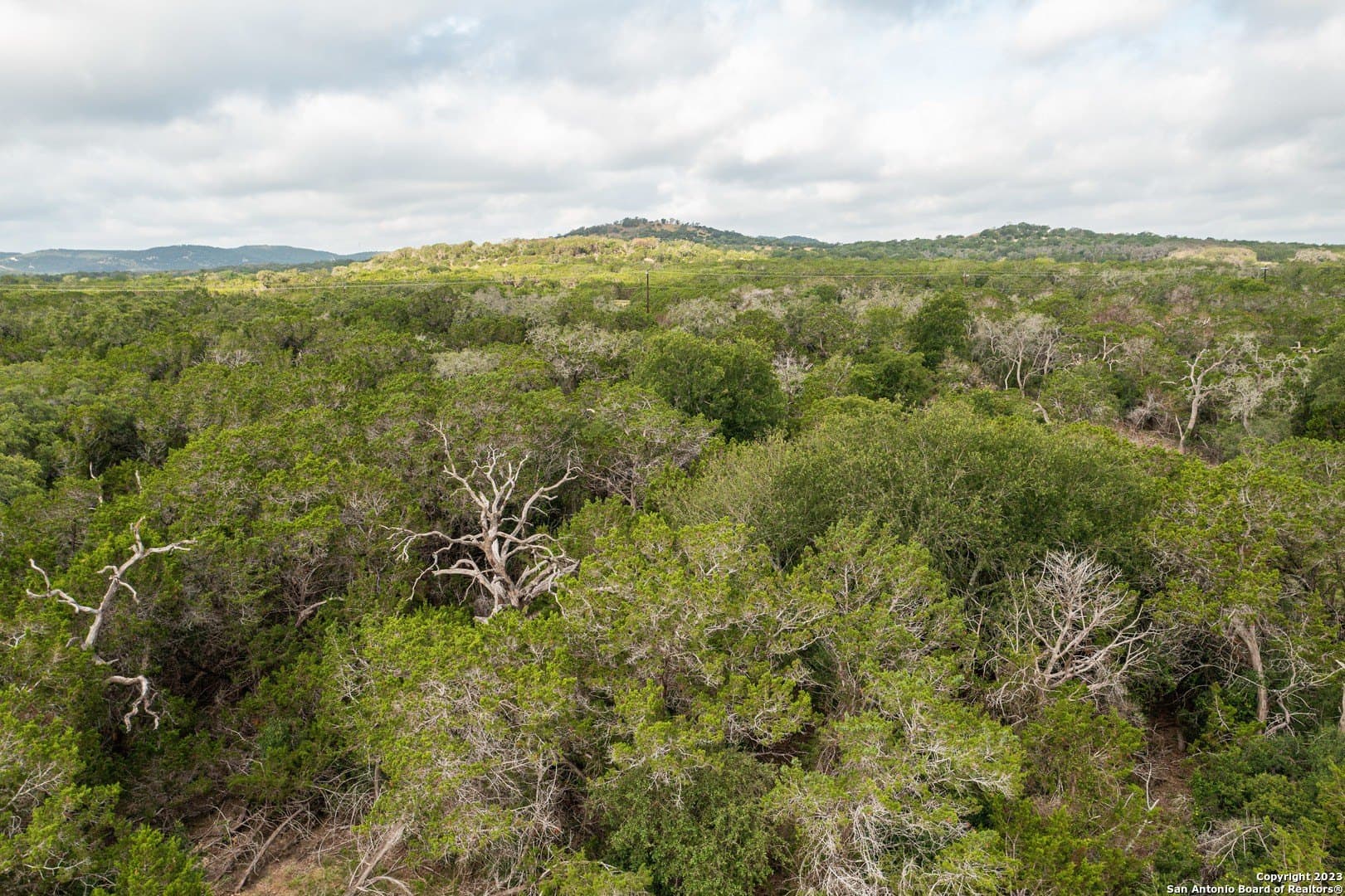 25 acres in Bandera County - photo 15