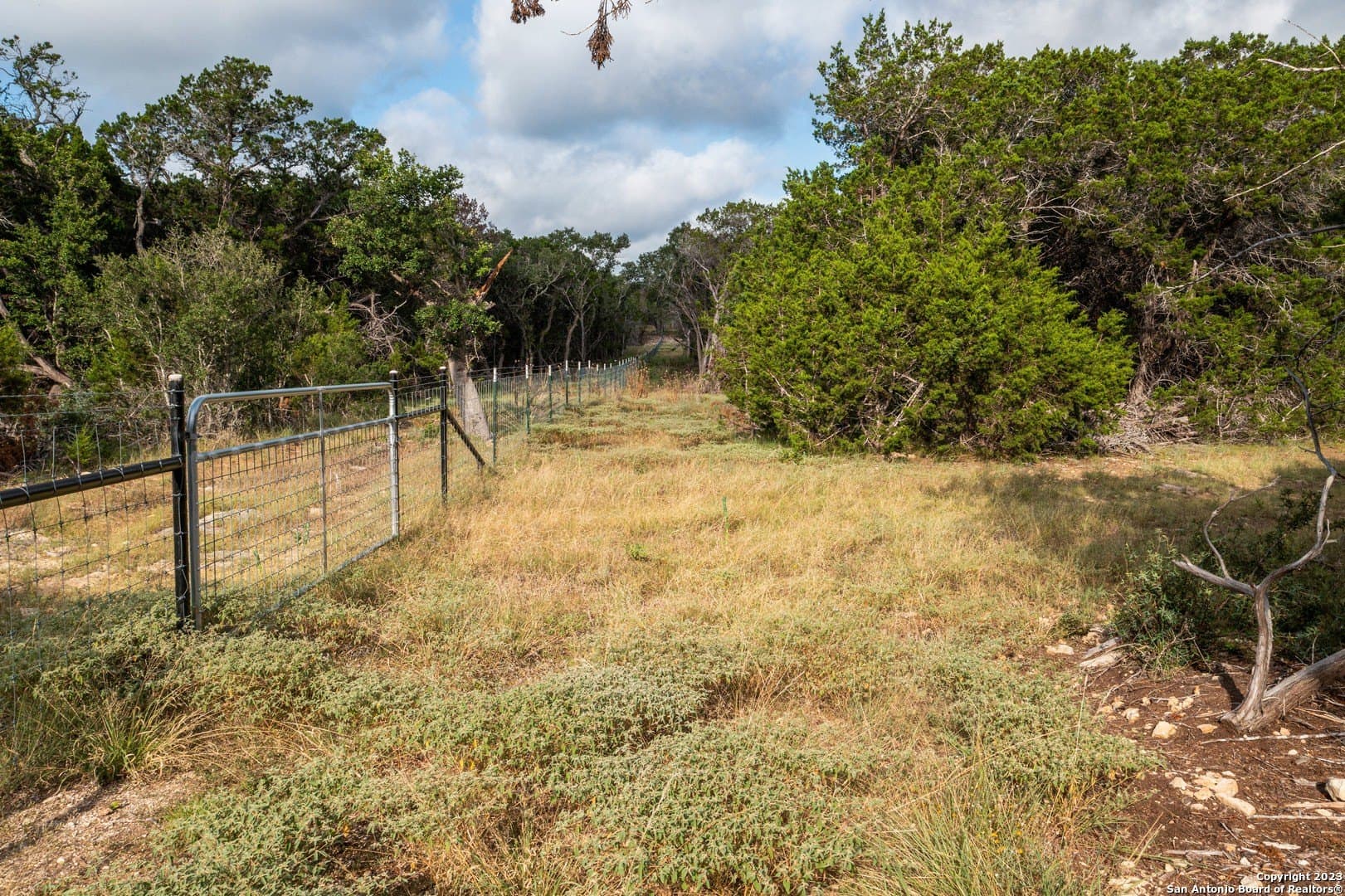 25 acres in Bandera County - photo 21