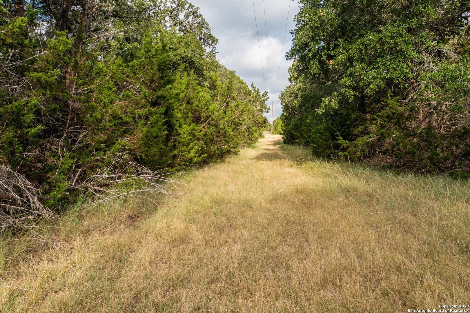 25 acres in Bandera County - photo 34