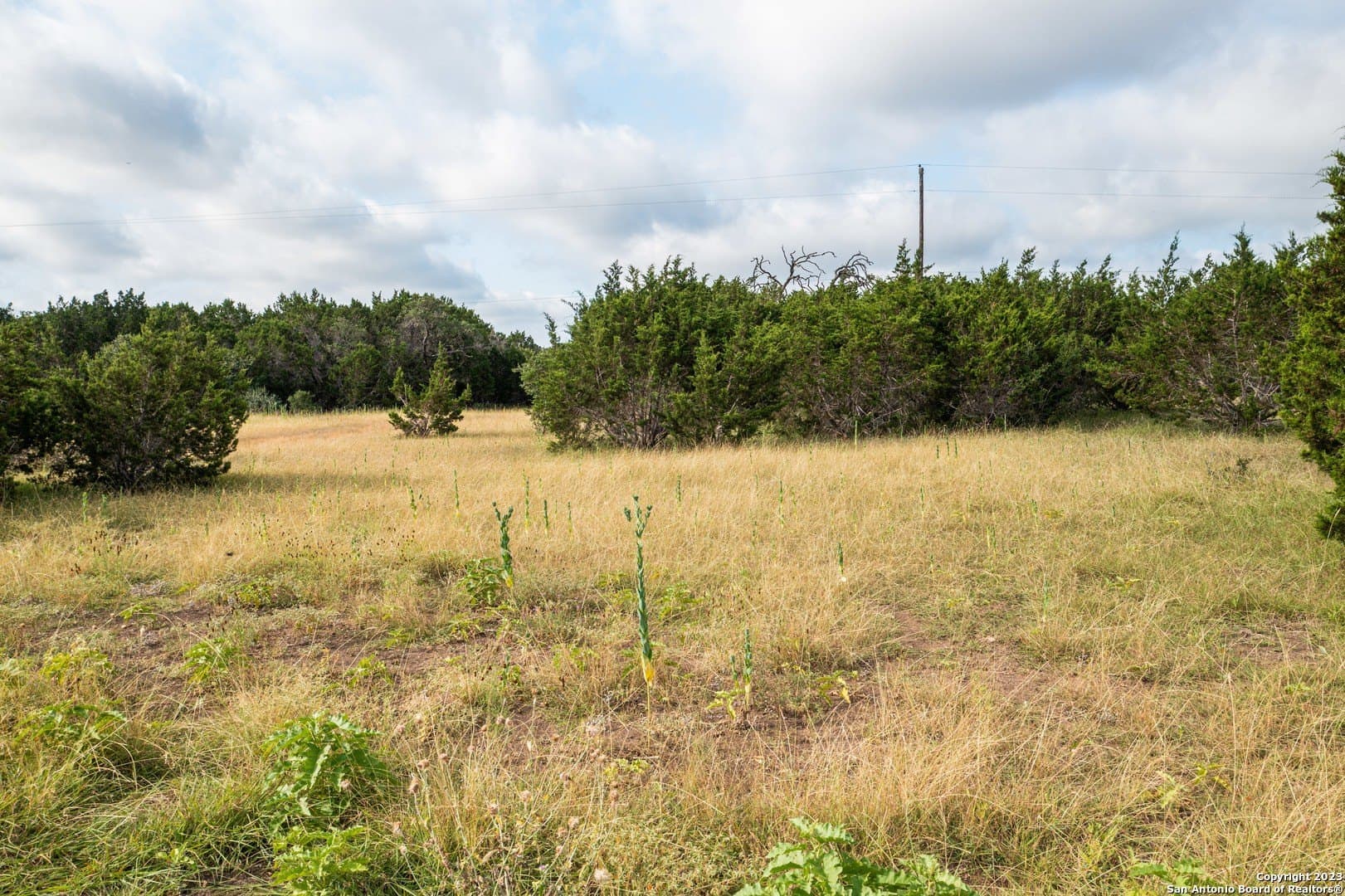 25 acres in Bandera County - photo 42