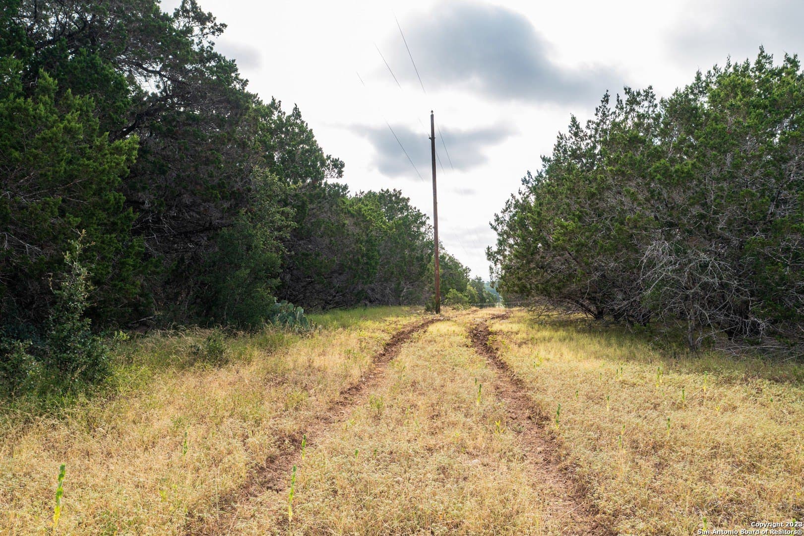 25 acres in Bandera County - photo 36