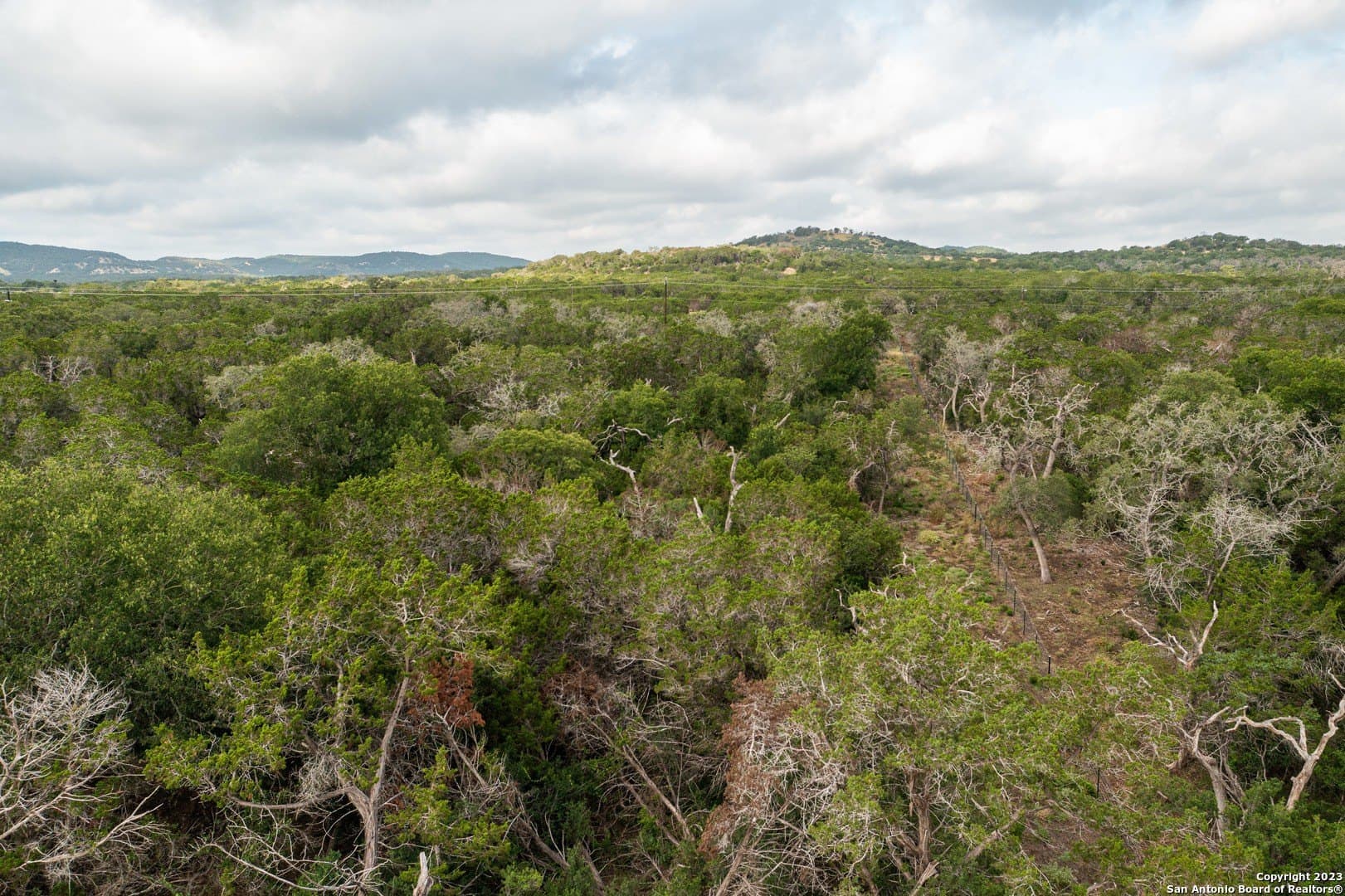 25 acres in Bandera County - photo 14
