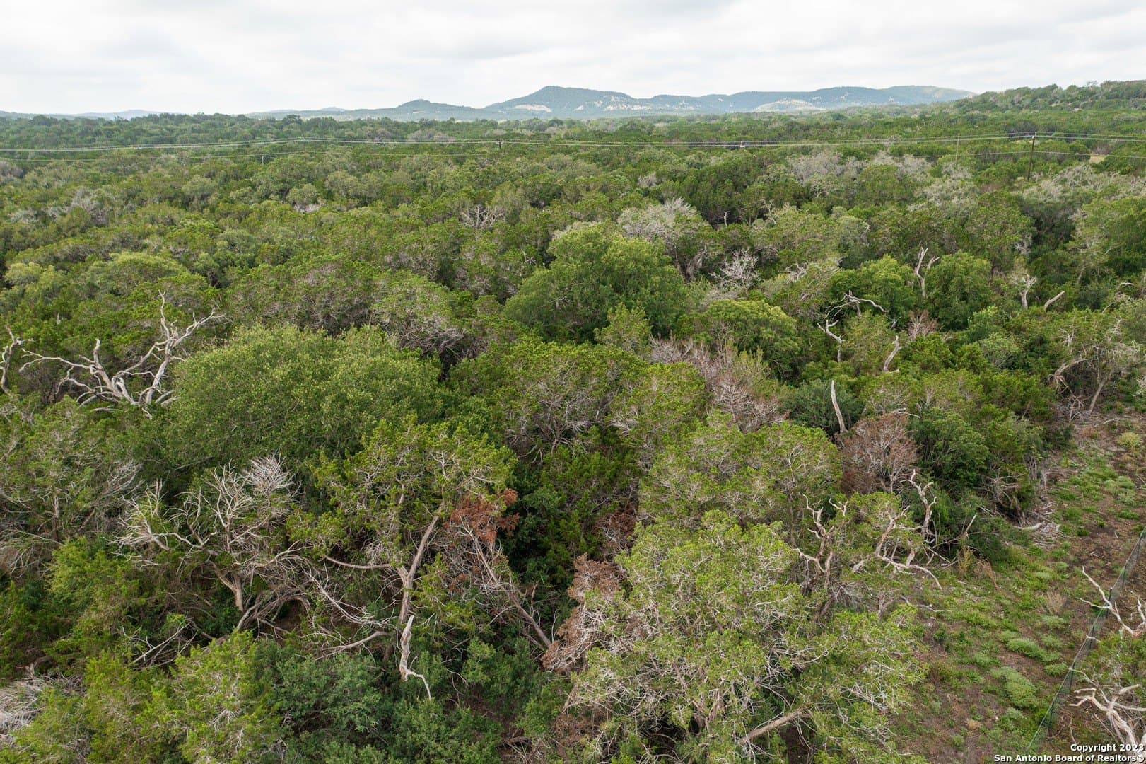 25 acres in Bandera County - photo 10