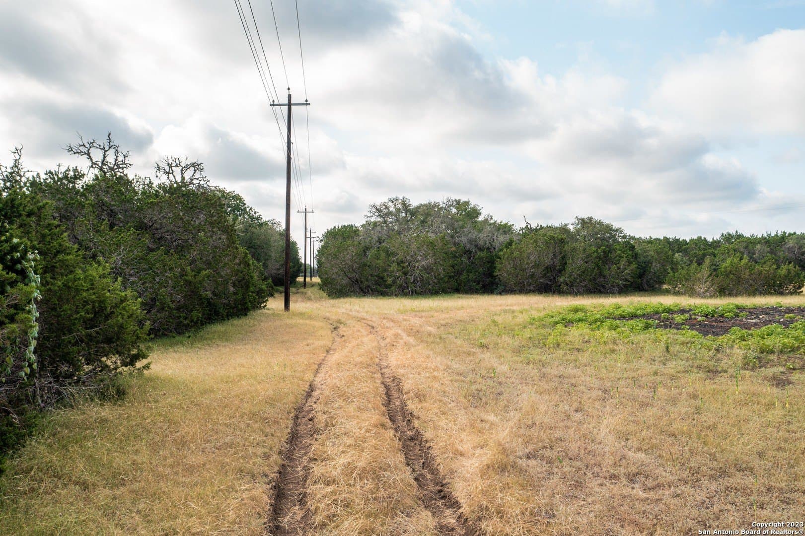 25 acres in Bandera County - photo 49