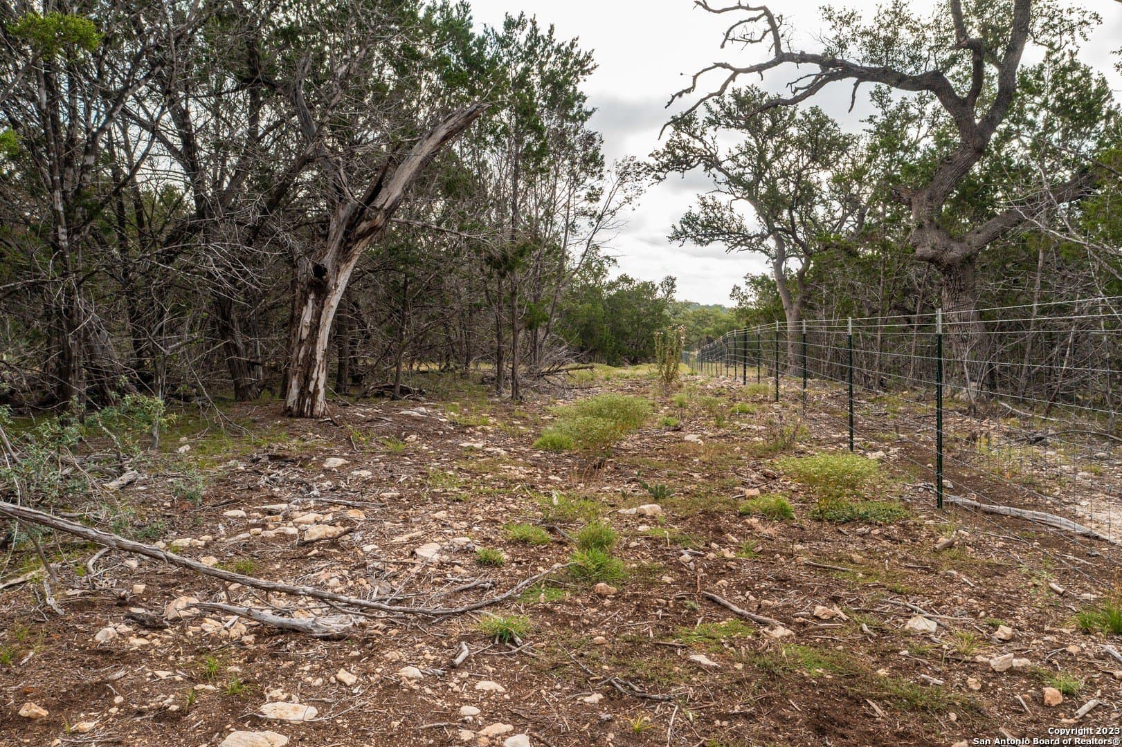 25 acres in Bandera County - photo 22
