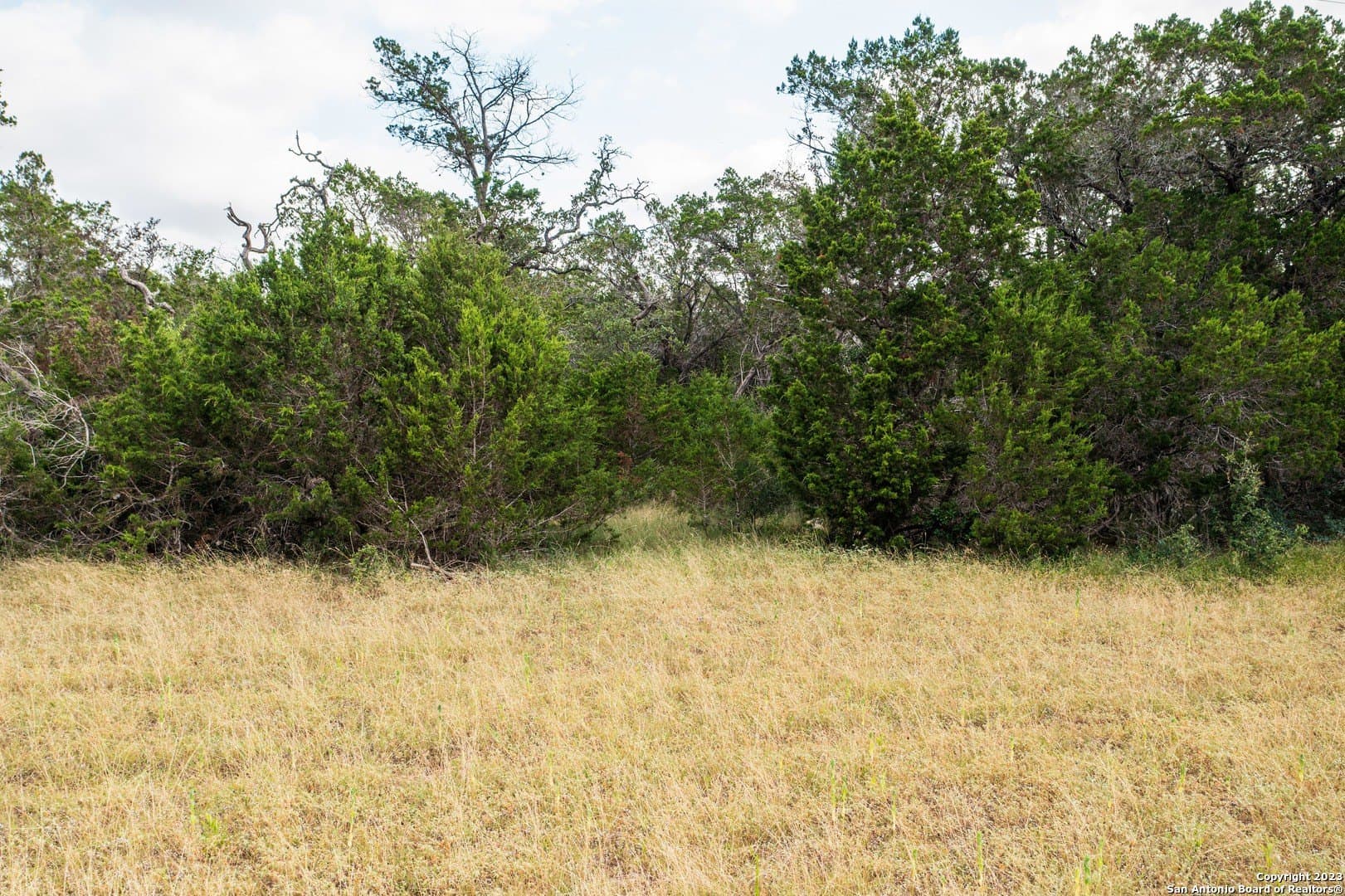 25 acres in Bandera County - photo 37