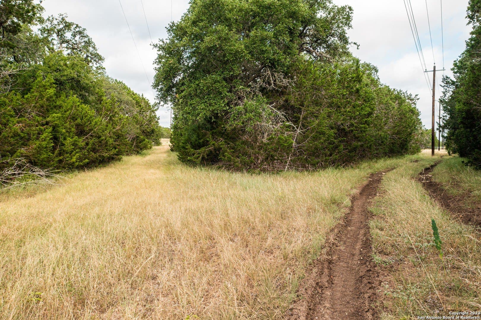 25 acres in Bandera County - photo 33
