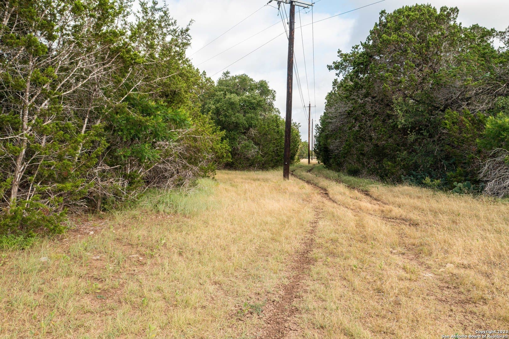 25 acres in Bandera County - photo 23