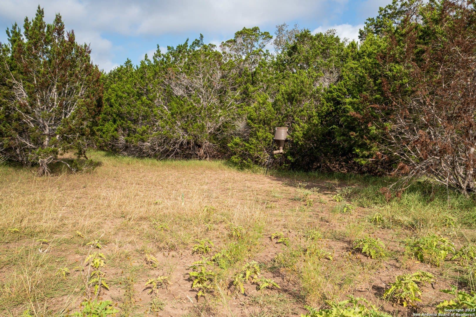 25 acres in Bandera County - photo 41
