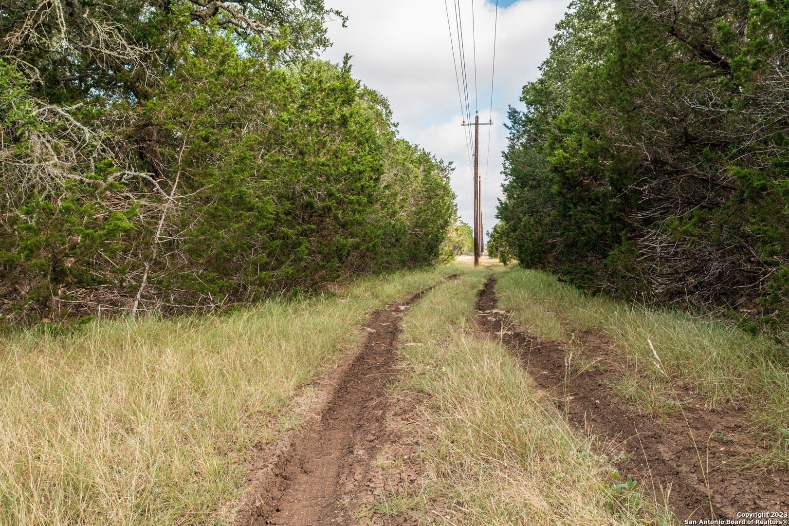 25 acres in Bandera County - photo 35