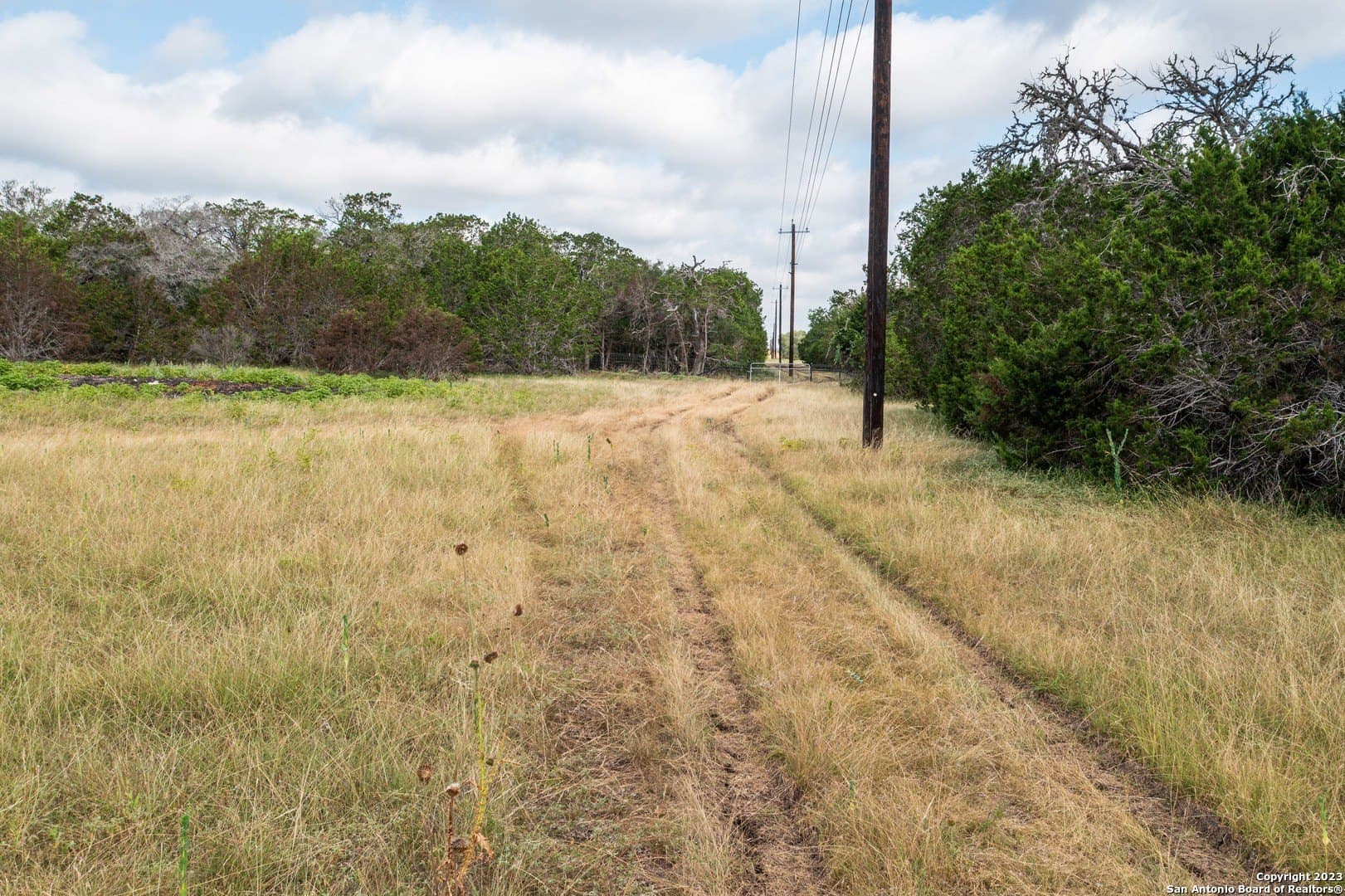 25 acres in Bandera County - photo 39