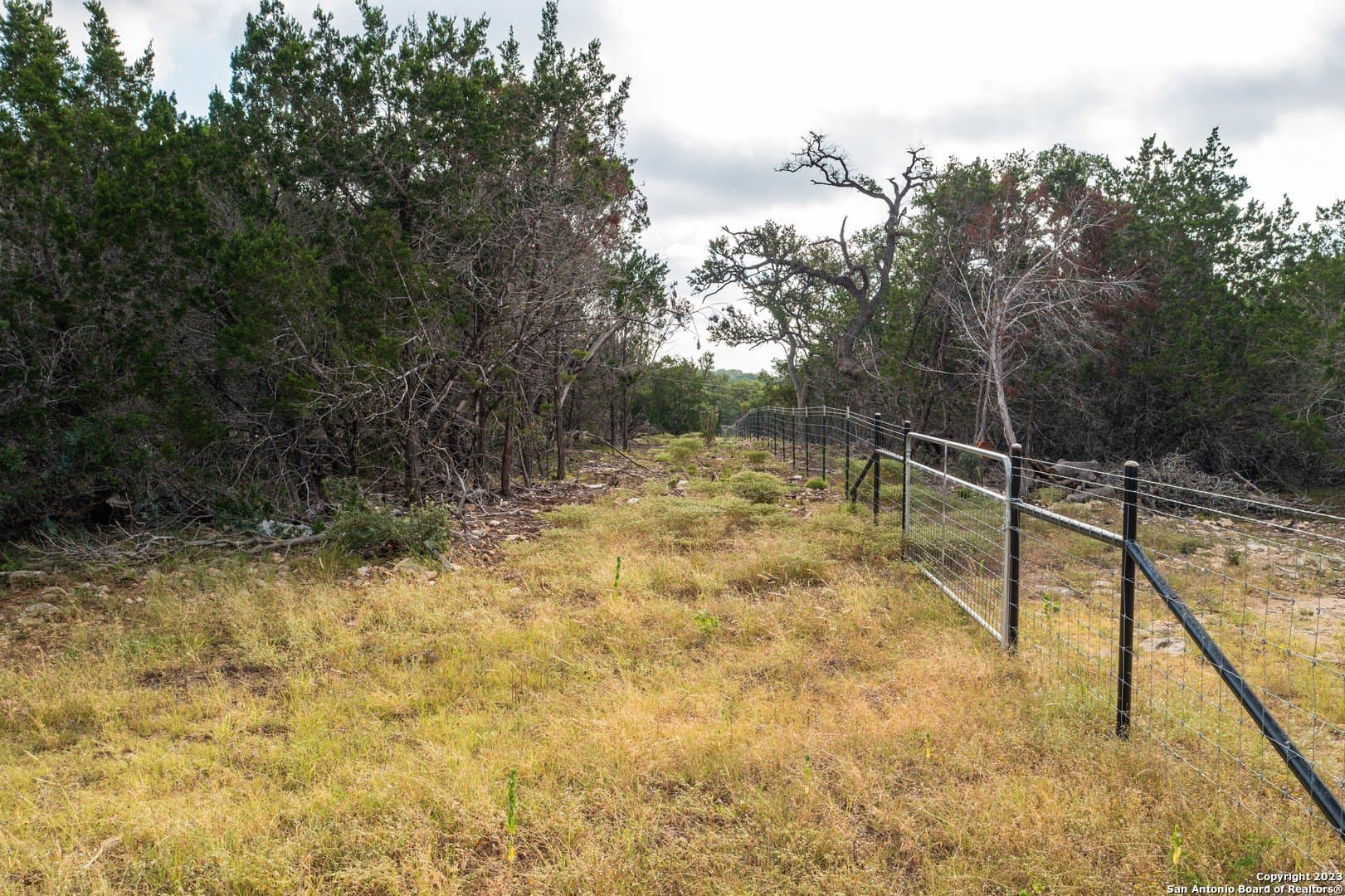 25 acres in Bandera County - photo 19