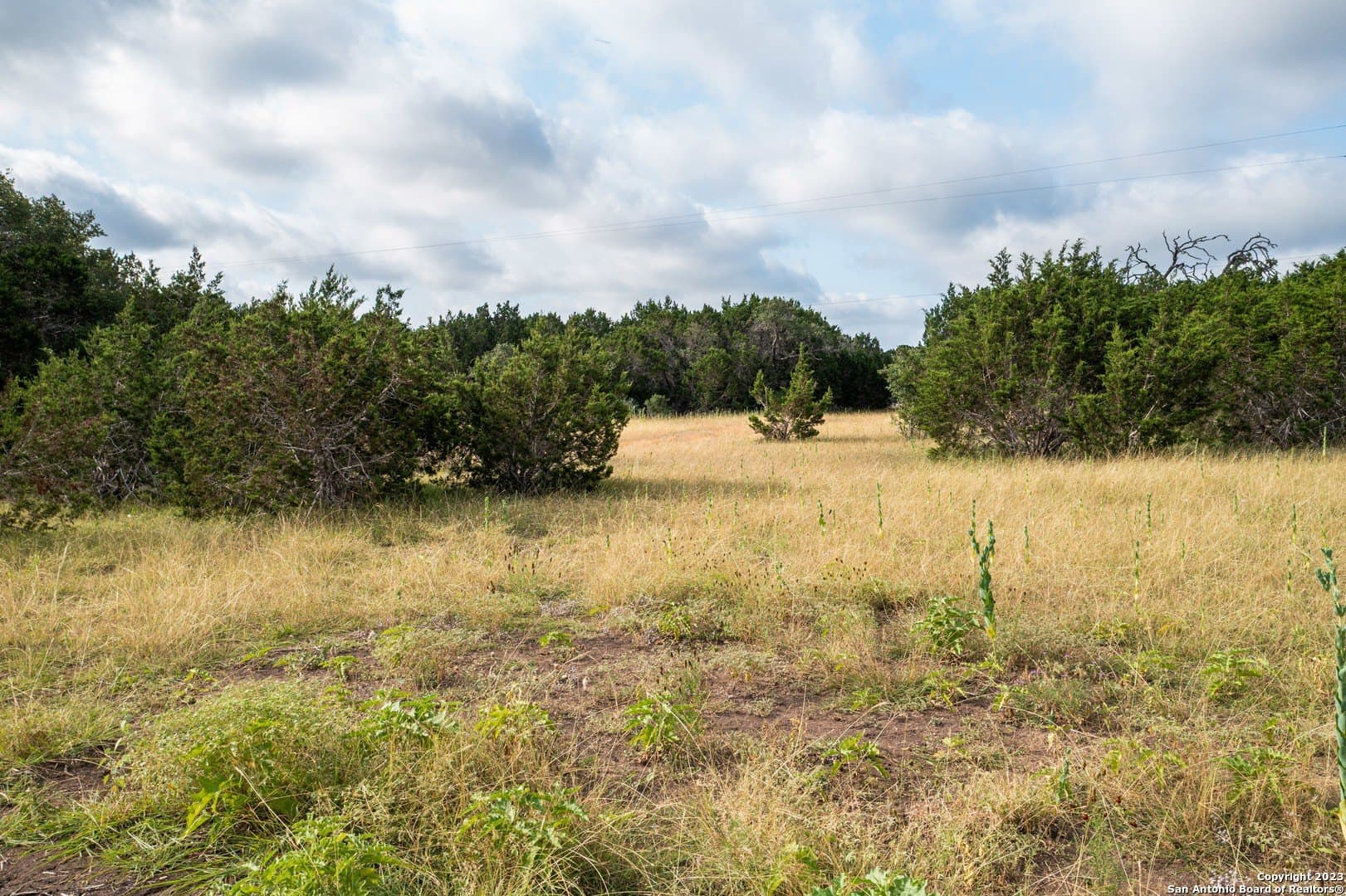 25 acres in Bandera County - photo 43