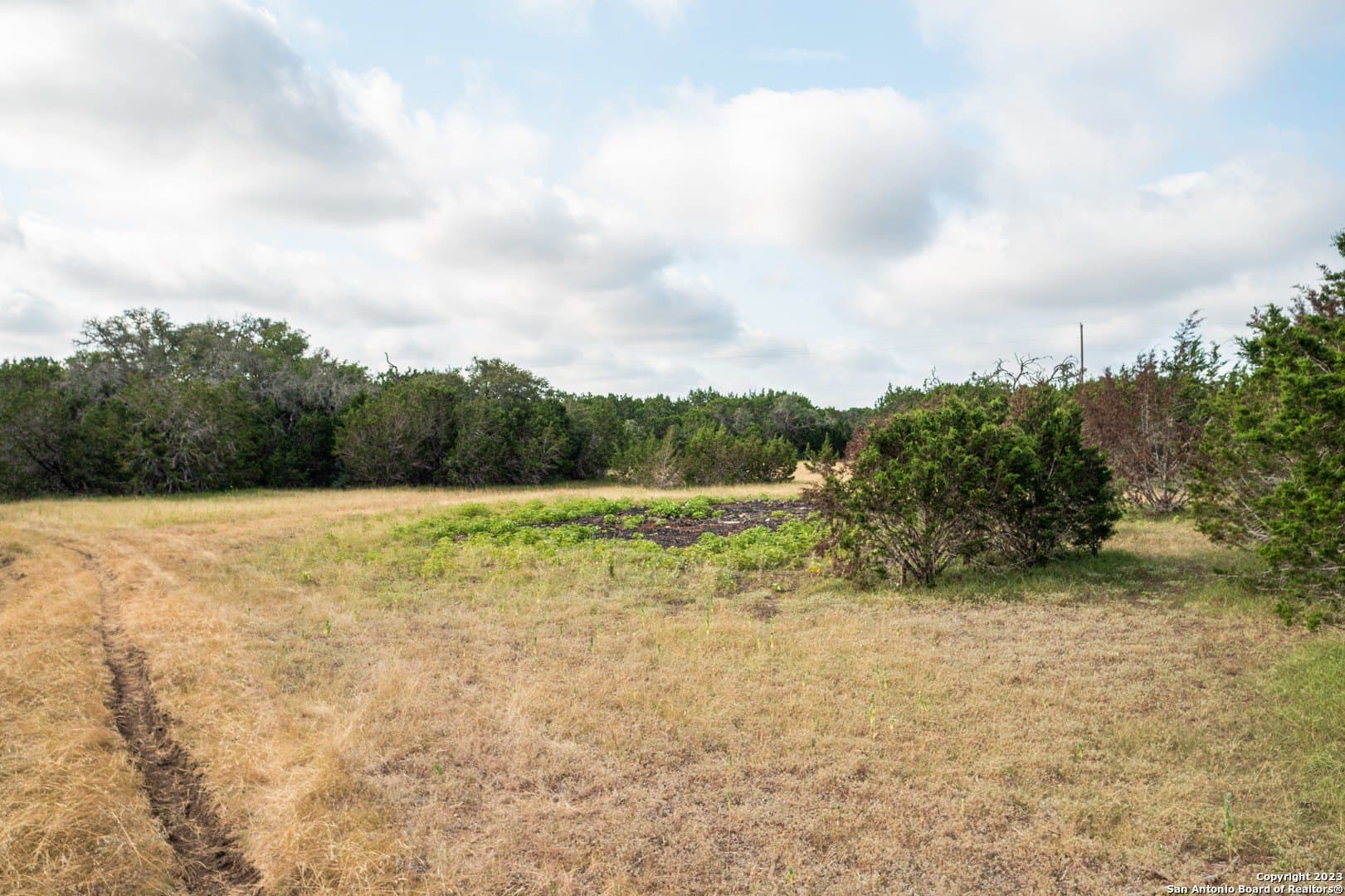 25 acres in Bandera County - photo 50