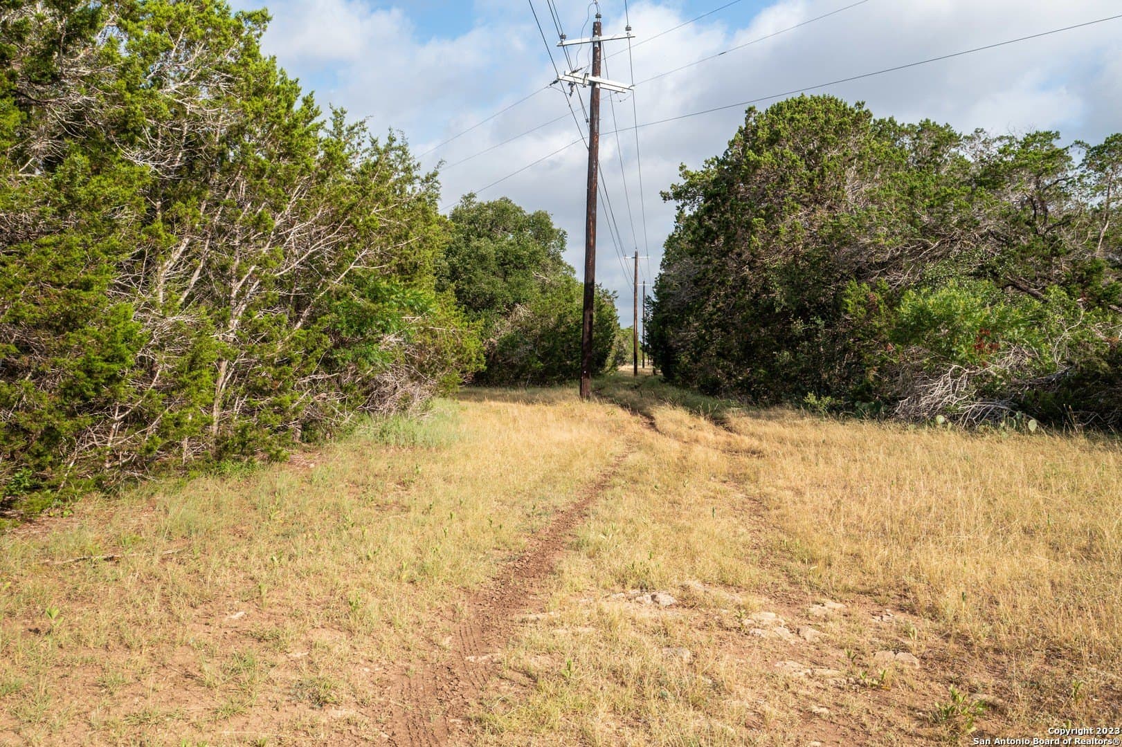 25 acres in Bandera County - photo 16