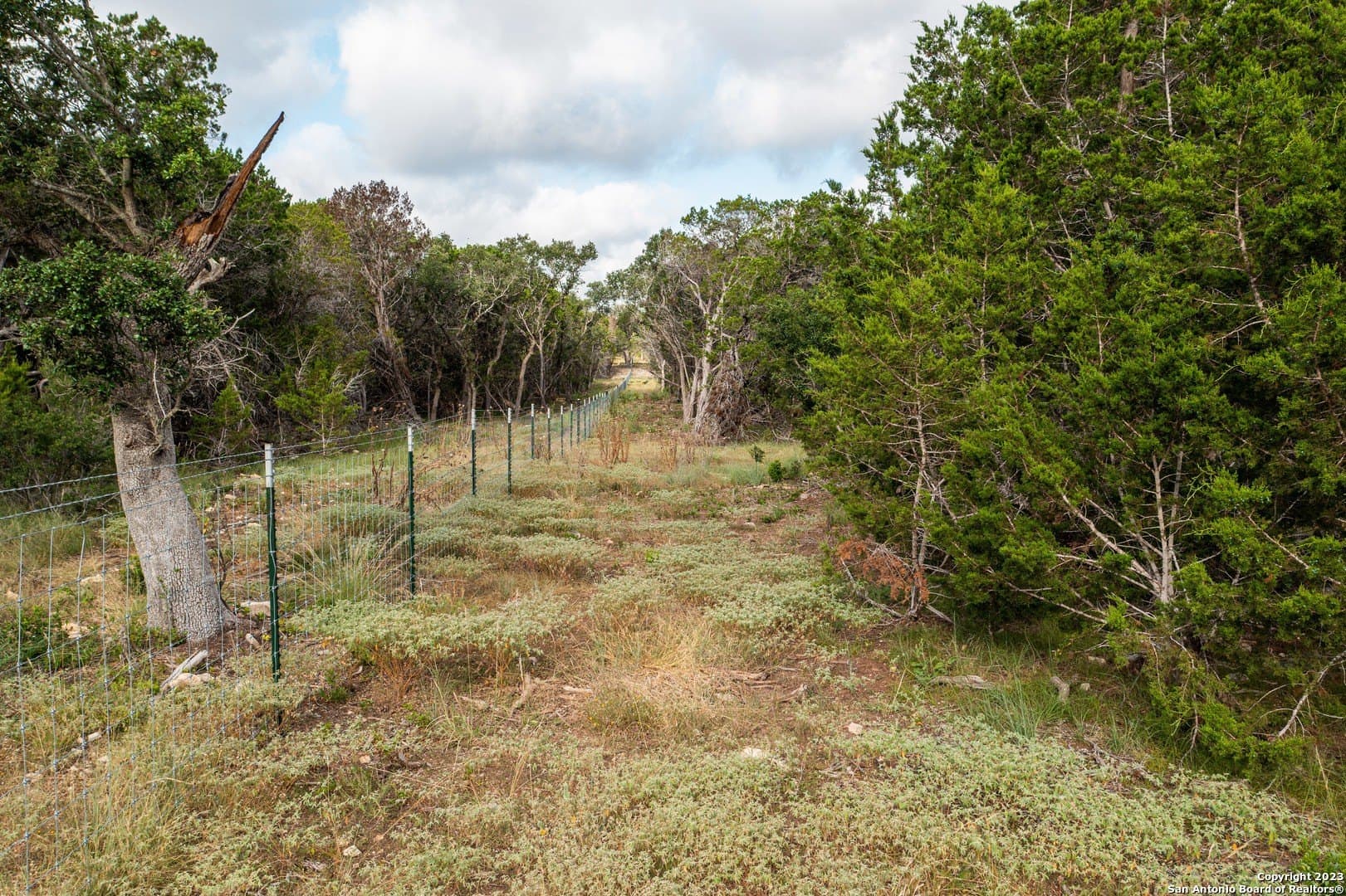25 acres in Bandera County - photo 20