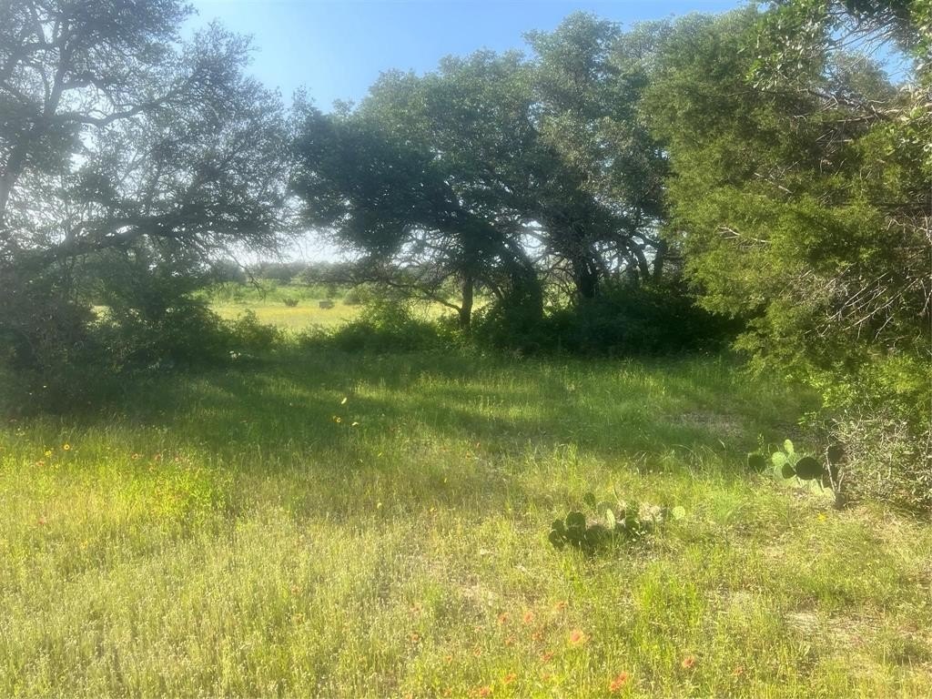 16 acres in Comanche County - photo 36
