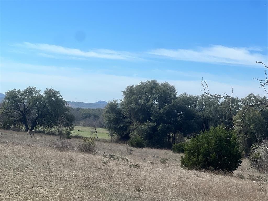 16 acres in Comanche County - photo 9