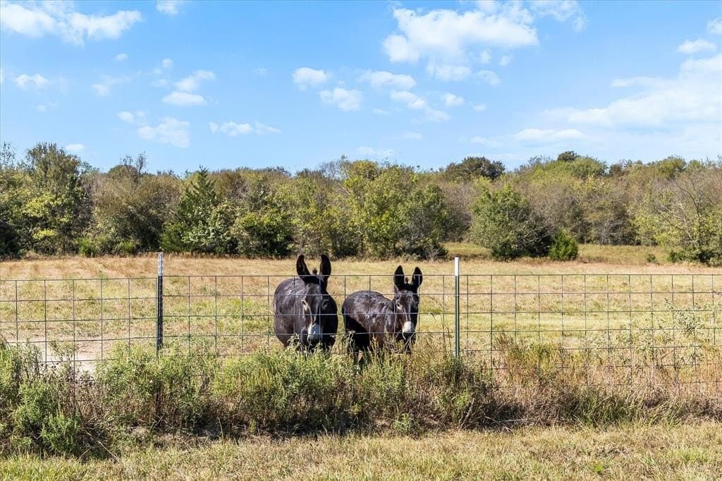 22.15 acres in Hunt County - photo 15