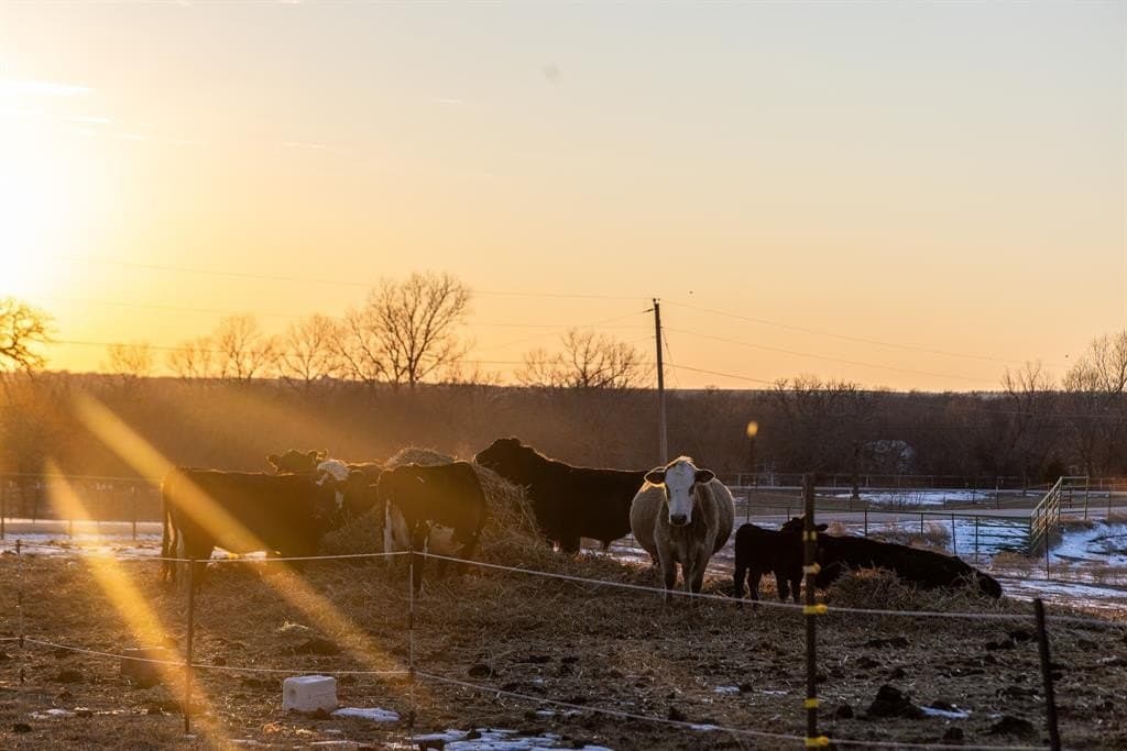 31 acres in Wise County - photo 30