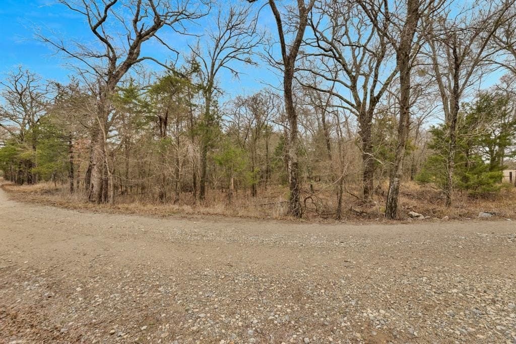 50 acres in Kaufman County - photo 9