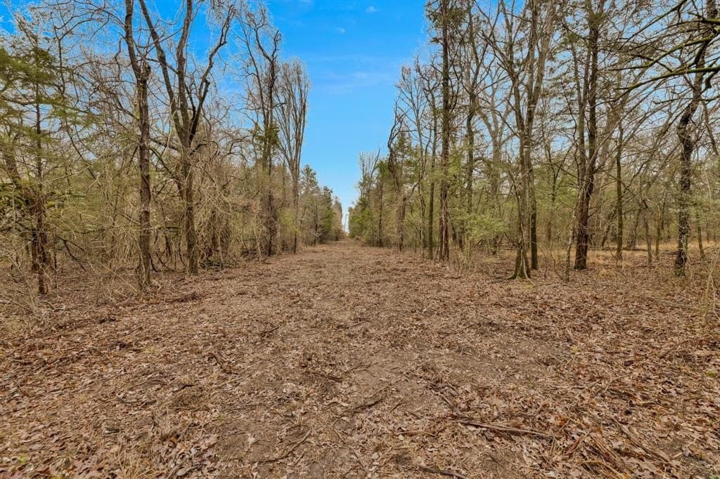 50 acres in Kaufman County - photo 5