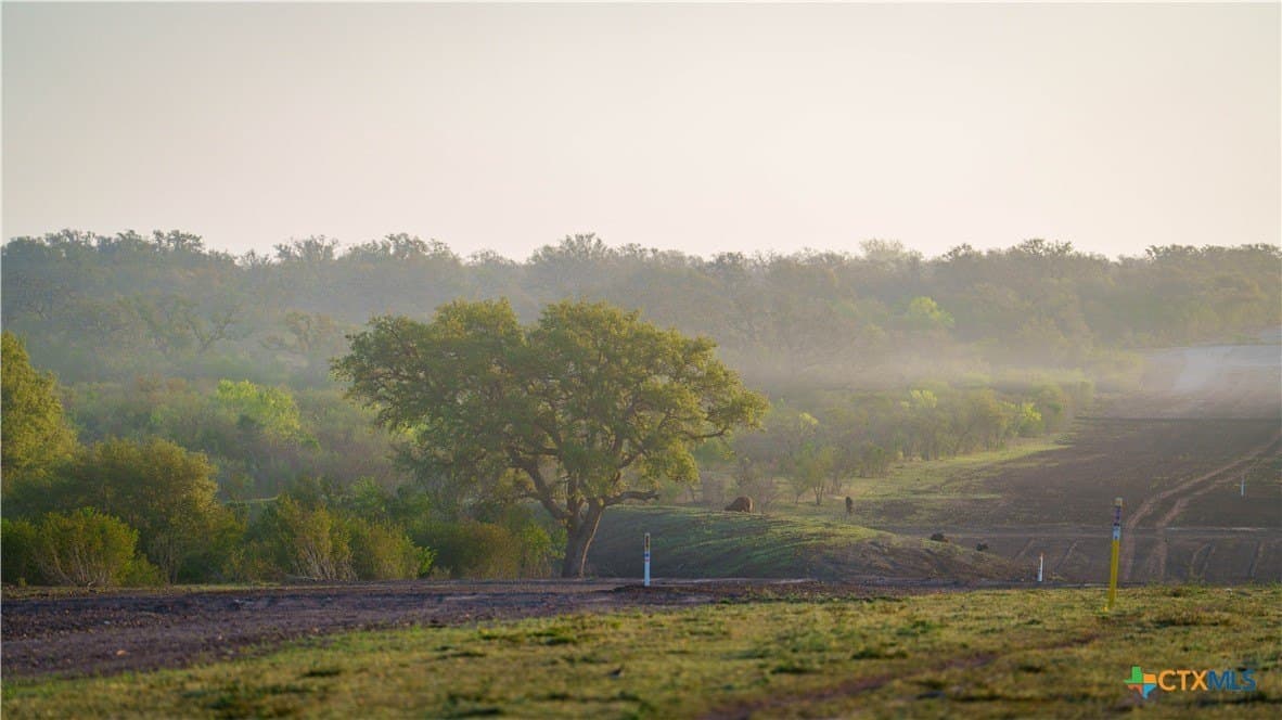 450 acres in Goliad County - photo 18