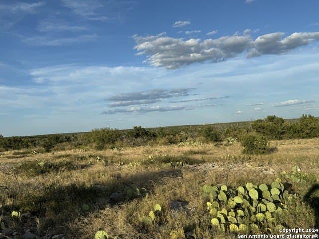 50 acres in Val Verde County - photo 3