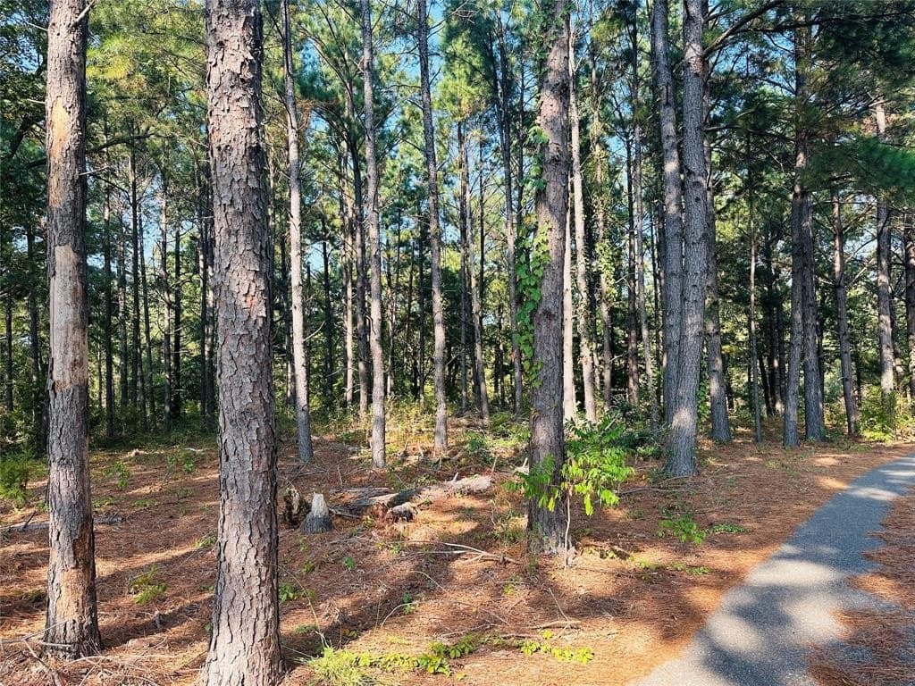 41.13 acres in Wood County - photo 35