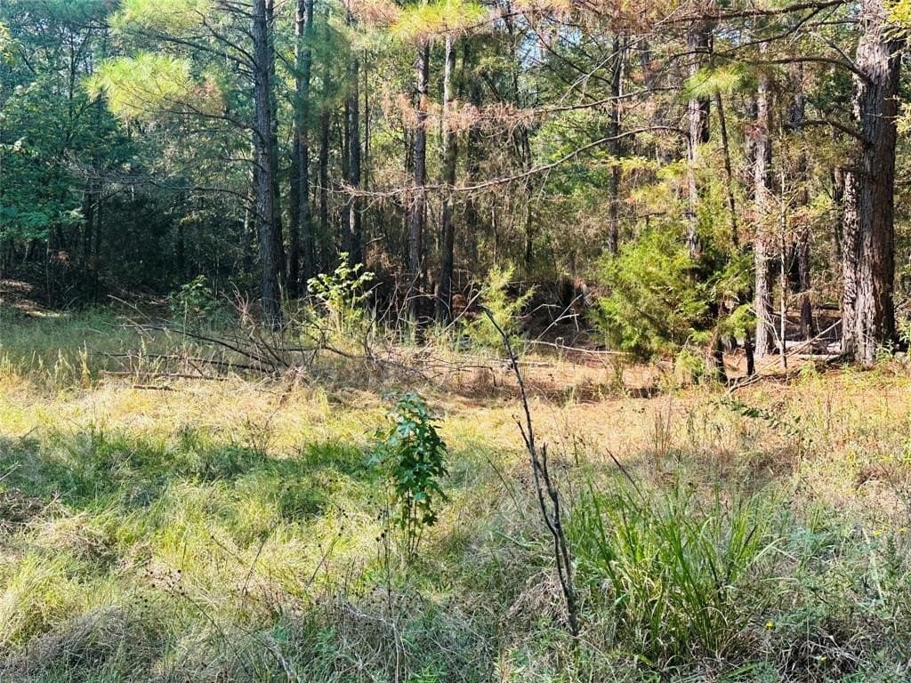 41.13 acres in Wood County - photo 34