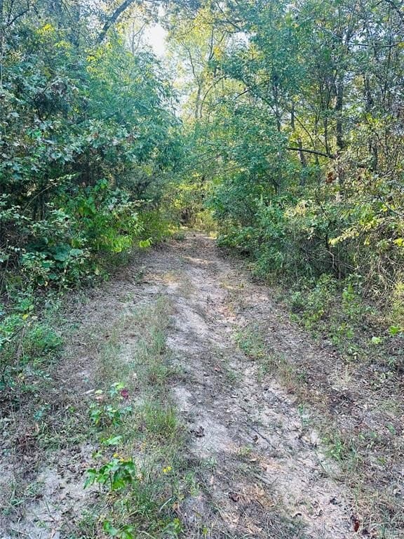 41.13 acres in Wood County - photo 32