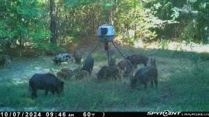 41.13 acres in Wood County - photo 38