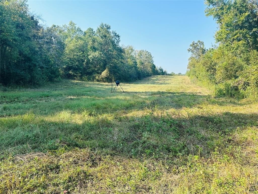 41.13 acres in Wood County - photo 33