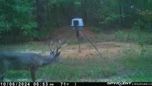 41.13 acres in Wood County - photo 37