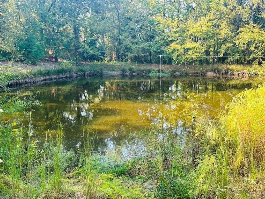 41.13 acres in Wood County - photo 36