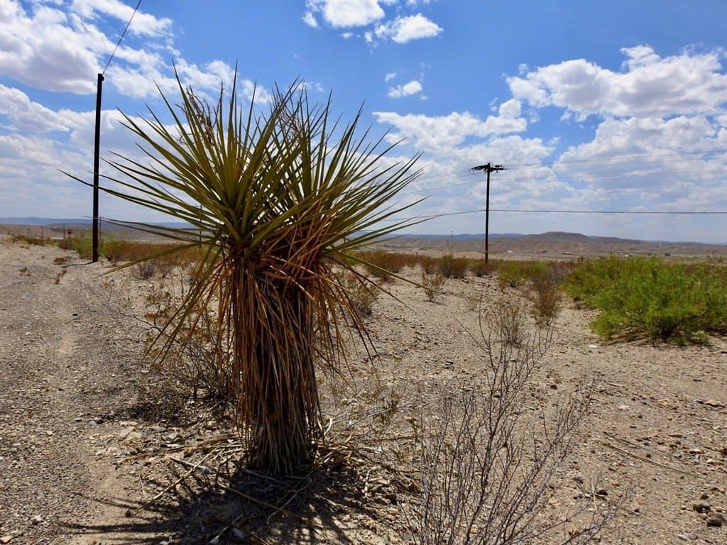 2.5 acres in Brewster County - photo 14