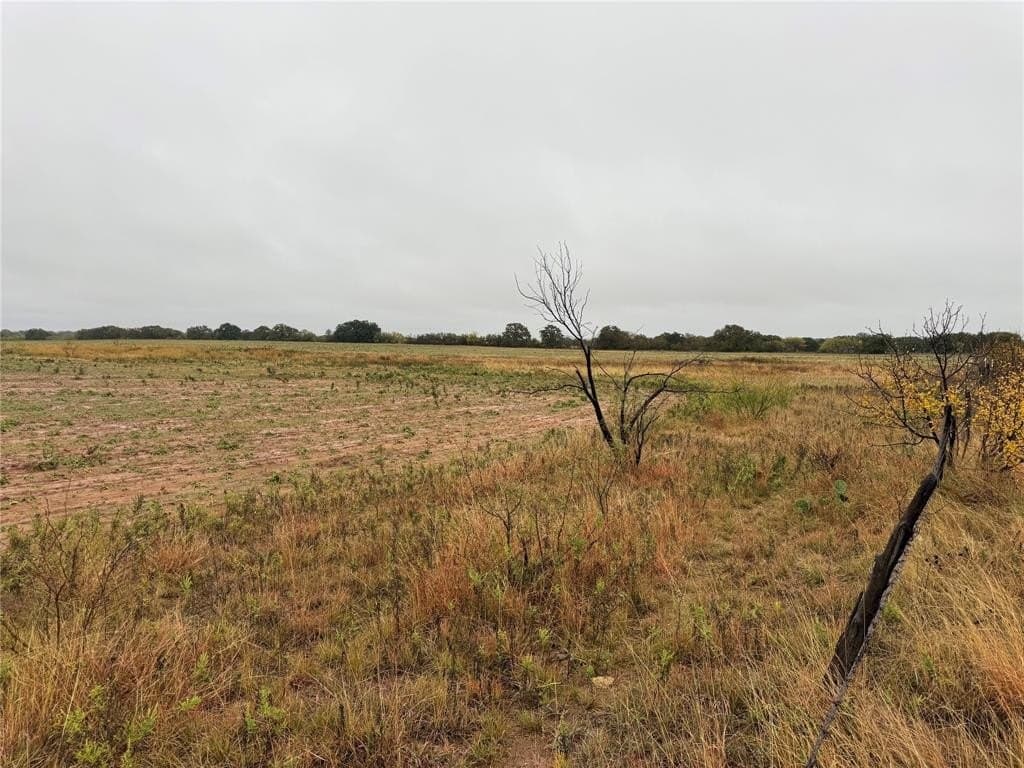 10 acres in Callahan County - photo 7