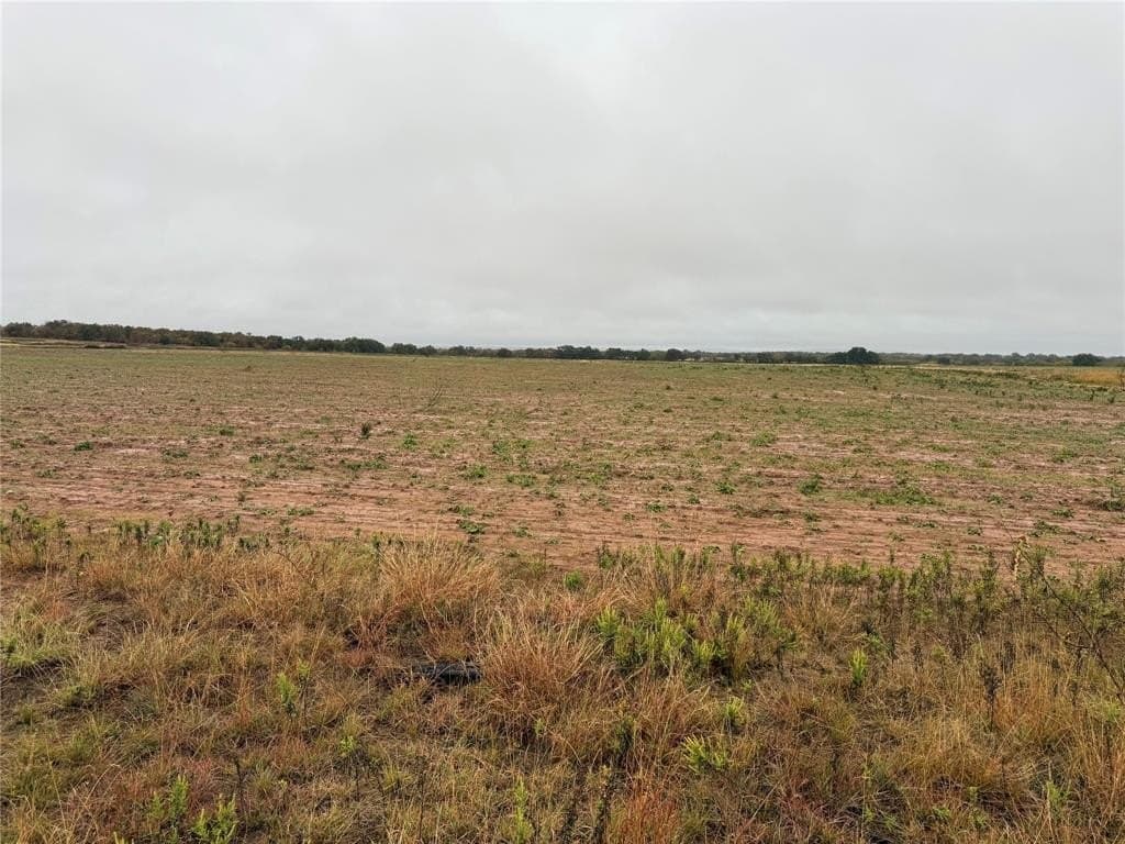10 acres in Callahan County - photo 6