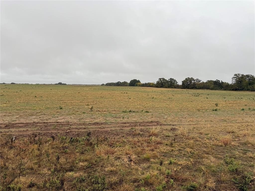10 acres in Callahan County - photo 4