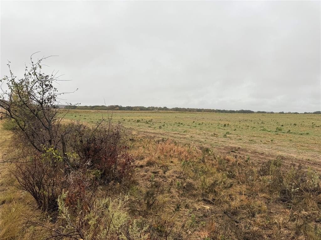 10 acres in Callahan County - photo 2