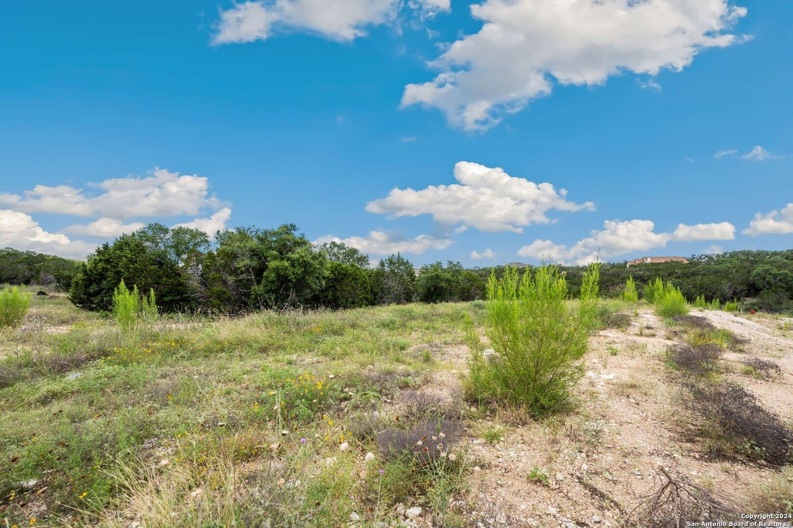 1.06 acres in Comal County - photo 8