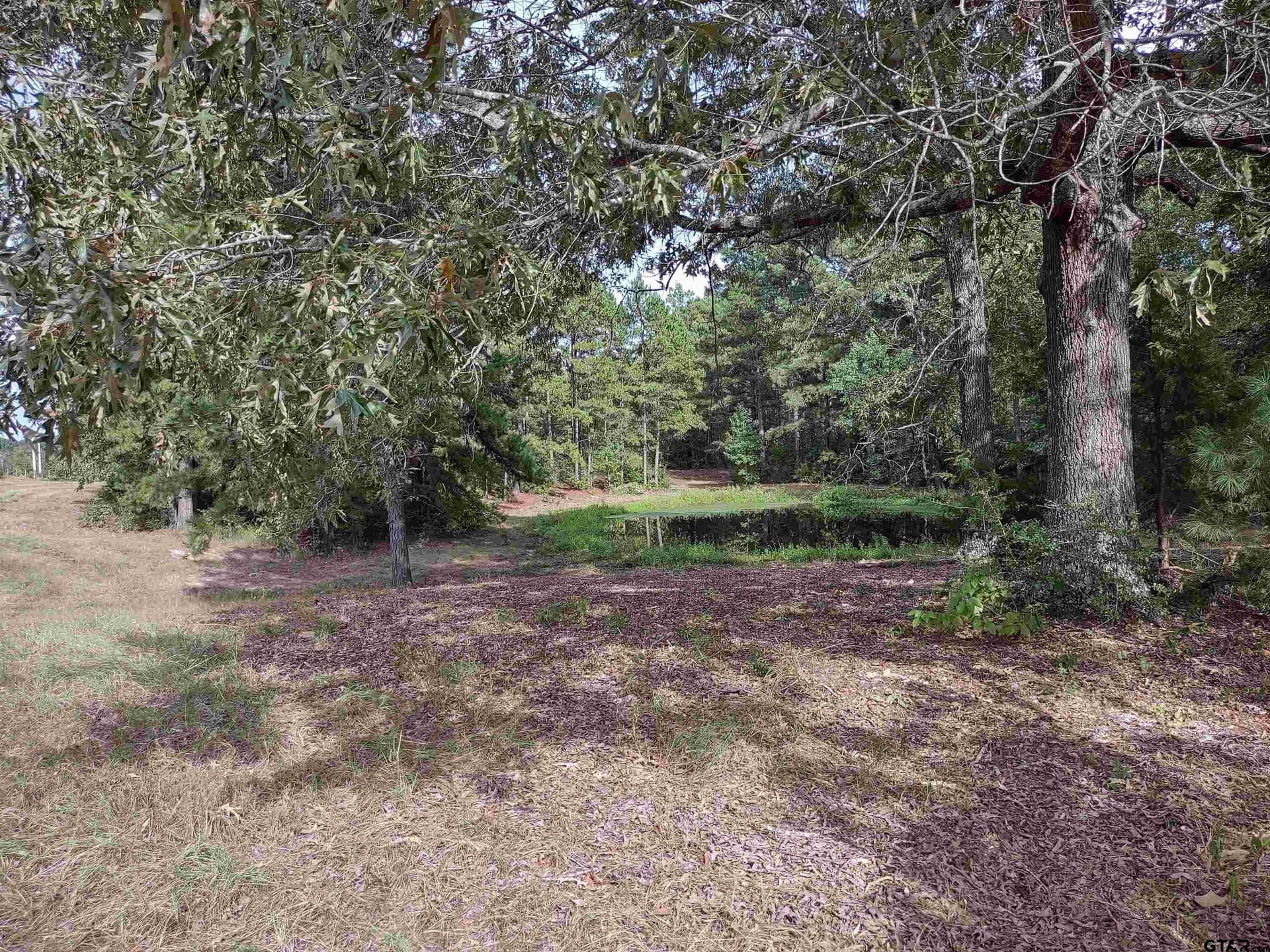 17.92 acres in Smith County - photo 6